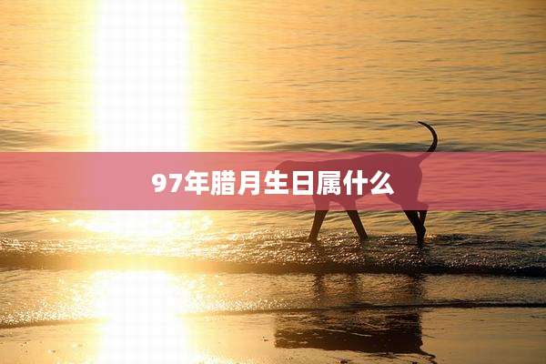 97年腊月生日属什么