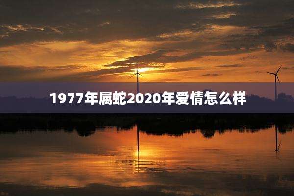 1977年属蛇2020年爱情怎么样