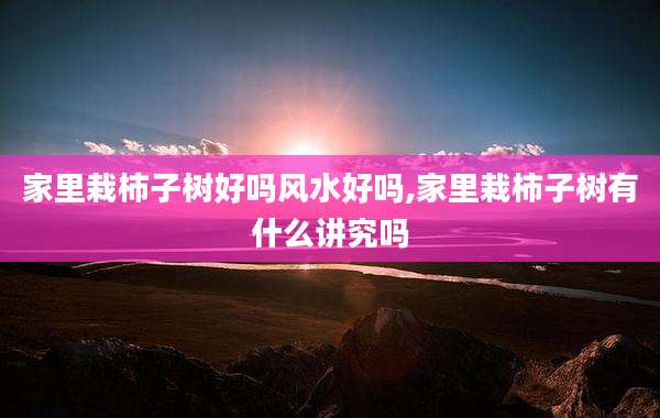 家里栽柿子树好吗风水好吗,家里栽柿子树有什么讲究吗