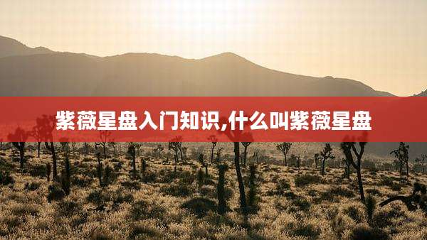 紫薇星盘入门知识,什么叫紫薇星盘