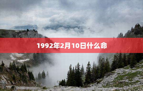 1992年2月10日什么命