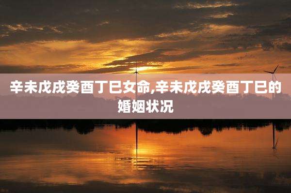 辛未戊戌癸酉丁巳女命,辛未戊戌癸酉丁巳的婚姻状况