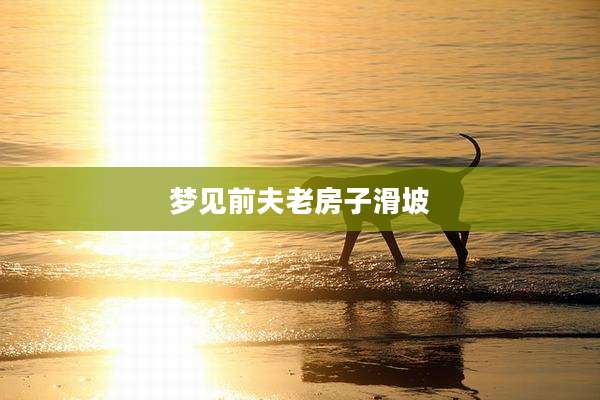 梦见前夫老房子滑坡