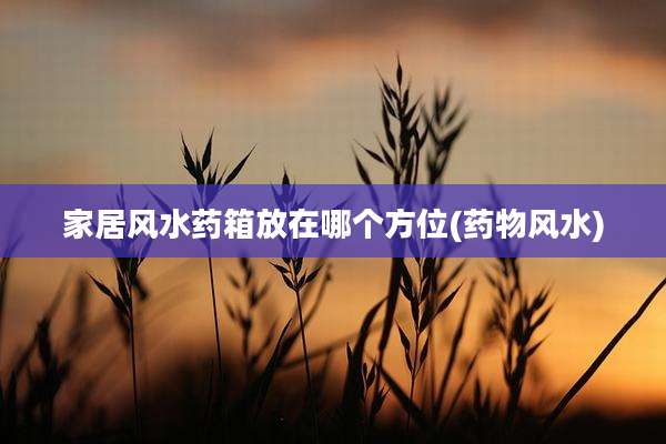 家居风水药箱放在哪个方位(药物风水)