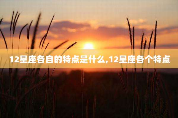 12星座各自的特点是什么,12星座各个特点