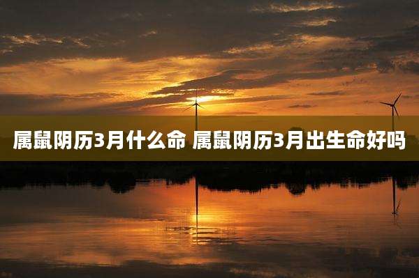 属鼠阴历3月什么命 属鼠阴历3月出生命好吗
