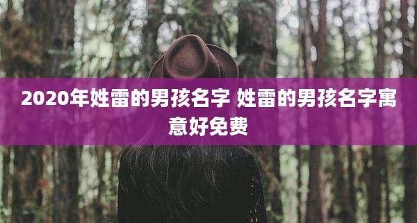 2020年姓雷的男孩名字 姓雷的男孩名字寓意好免费