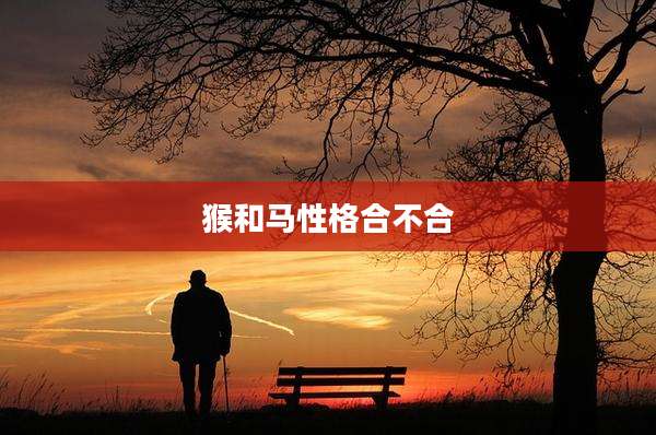 猴和马性格合不合