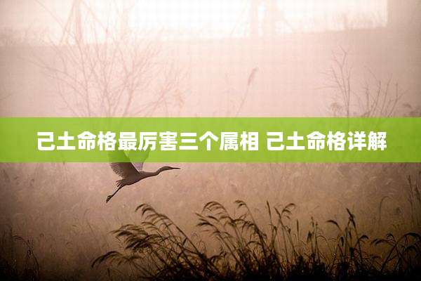 己土命格最厉害三个属相 己土命格详解