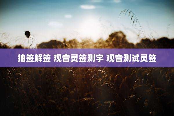 抽签解签 观音灵签测字 观音测试灵签