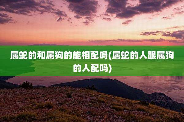 属蛇的和属狗的能相配吗(属蛇的人跟属狗的人配吗)