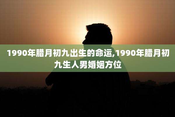 1990年腊月初九出生的命运,1990年腊月初九生人男婚姻方位