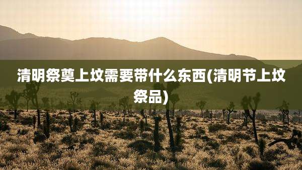 清明祭奠上坟需要带什么东西(清明节上坟祭品)