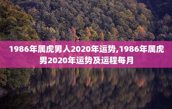 1986年属虎男人2020年运势,1986年属虎男2020年运势及运程每月