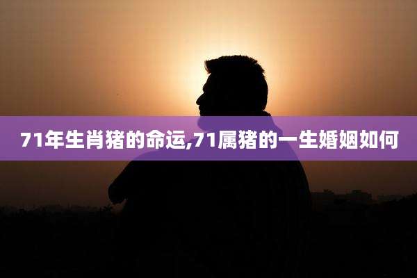 71年生肖猪的命运,71属猪的一生婚姻如何