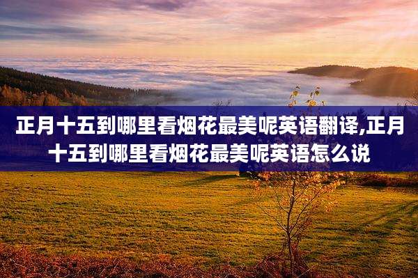 正月十五到哪里看烟花最美呢英语翻译,正月十五到哪里看烟花最美呢英语怎么说