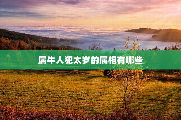 属牛人犯太岁的属相有哪些