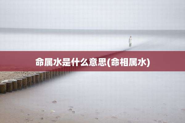 命属水是什么意思(命相属水)