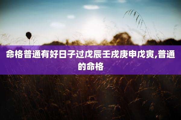 命格普通有好日子过戊辰壬戌庚申戊寅,普通的命格