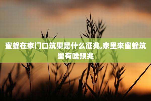 蜜蜂在家门口筑巢是什么征兆,家里来蜜蜂筑巢有啥预兆
