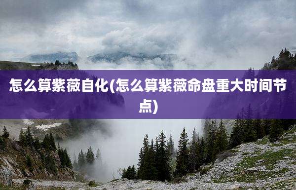 怎么算紫薇自化(怎么算紫薇命盘重大时间节点)