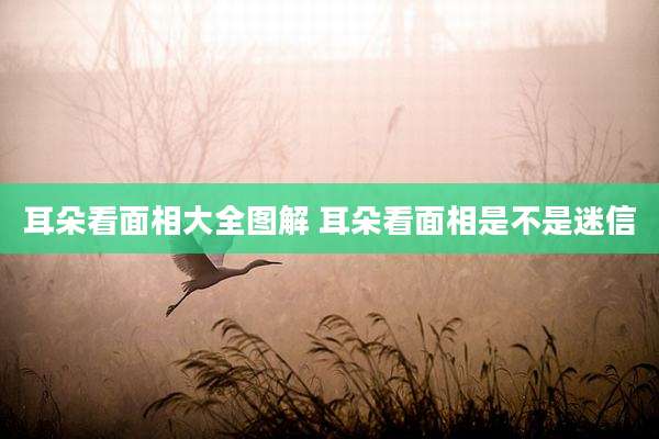 耳朵看面相大全图解 耳朵看面相是不是迷信