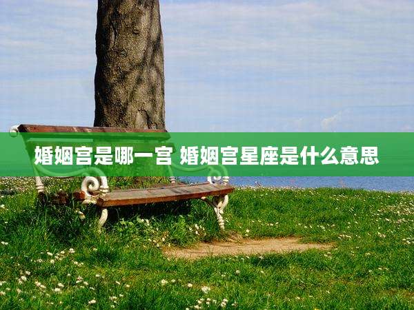婚姻宫是哪一宫 婚姻宫星座是什么意思