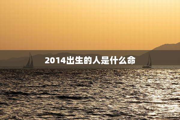 2014出生的人是什么命