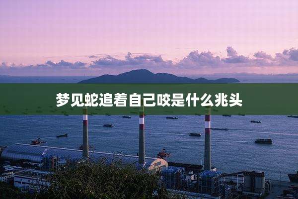 梦见蛇追着自己咬是什么兆头