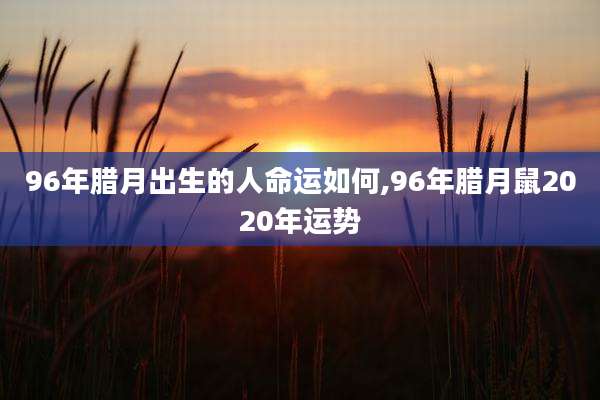 96年腊月出生的人命运如何,96年腊月鼠2020年运势