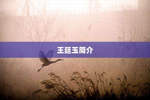 王廷玉简介