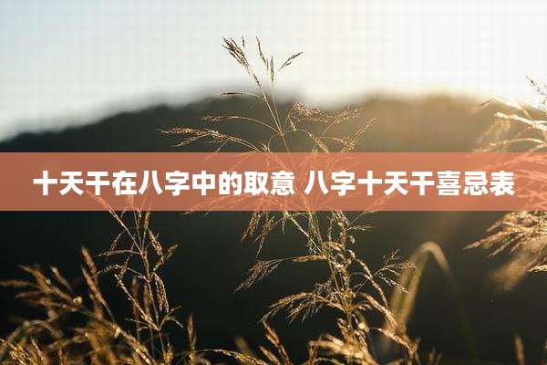 十天干在八字中的取意 八字十天干喜忌表