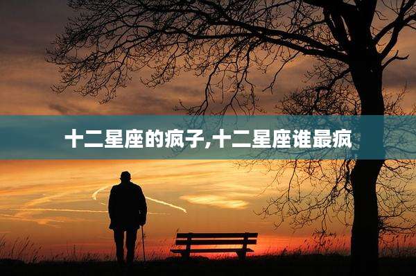 十二星座的疯子,十二星座谁最疯