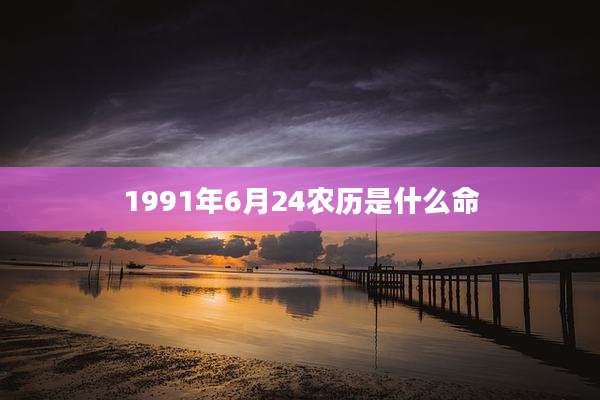 1991年6月24农历是什么命