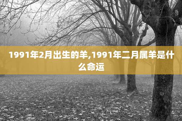 1991年2月出生的羊,1991年二月属羊是什么命运