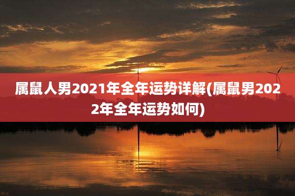 属鼠人男2021年全年运势详解(属鼠男2022年全年运势如何)