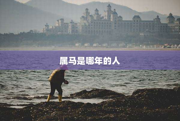 属马是哪年的人