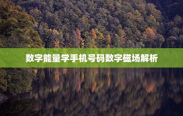 数字能量学手机号码数字磁场解析