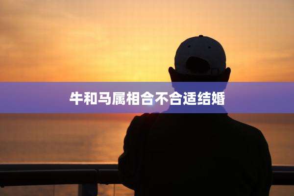 牛和马属相合不合适结婚