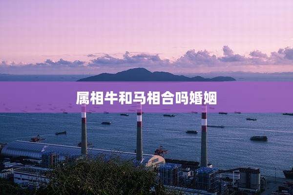 属相牛和马相合吗婚姻