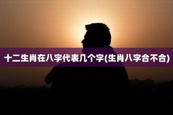 十二生肖在八字代表几个字(生肖八字合不合)