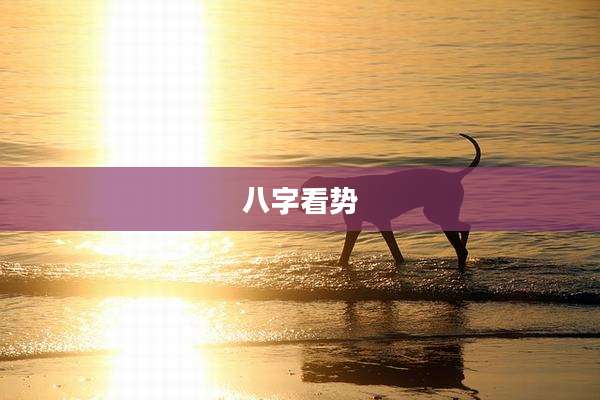 八字看势