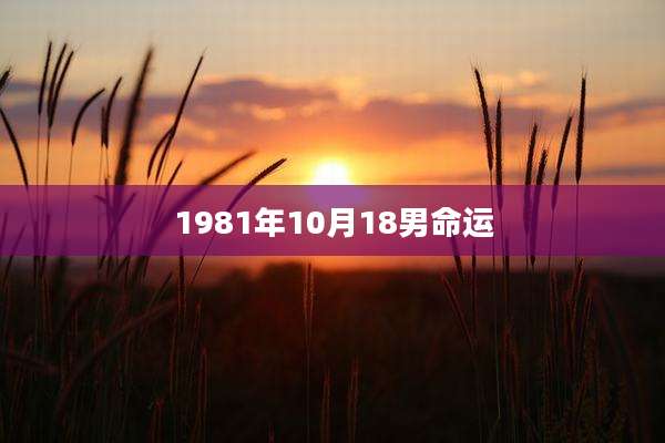 1981年10月18男命运