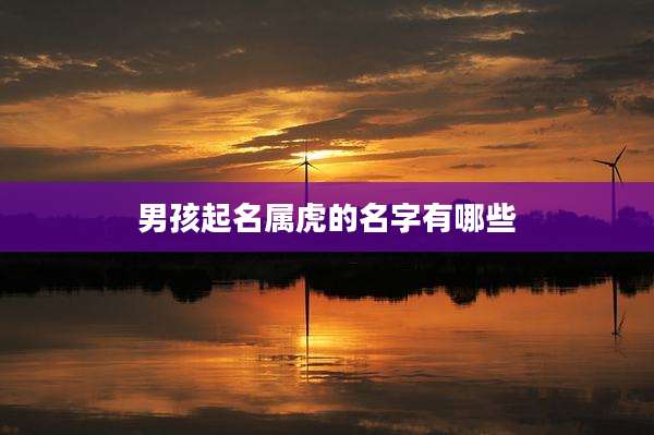 男孩起名属虎的名字有哪些