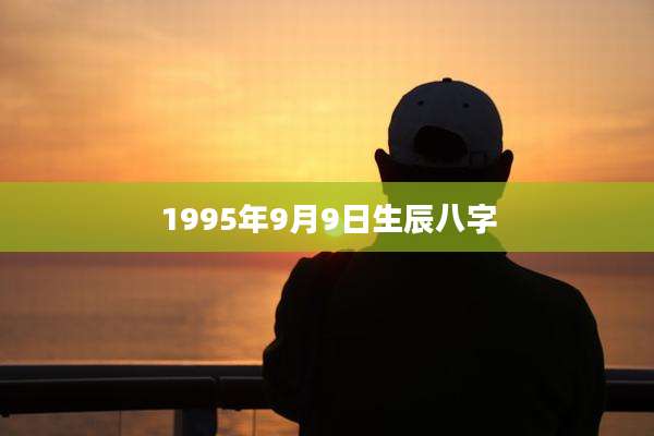 1995年9月9日生辰八字