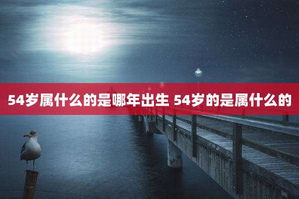54岁属什么的是哪年出生 54岁的是属什么的