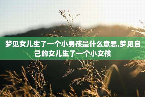 梦见女儿生了一个小男孩是什么意思,梦见自己的女儿生了一个小女孩