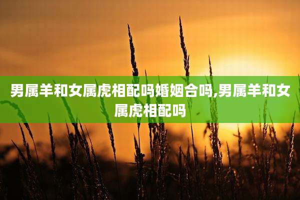 男属羊和女属虎相配吗婚姻合吗,男属羊和女属虎相配吗