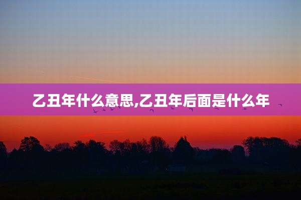 乙丑年什么意思,乙丑年后面是什么年