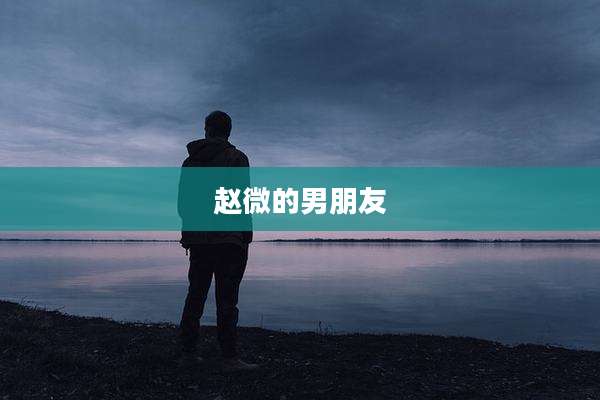 赵微的男朋友